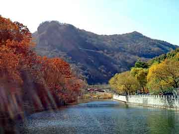 新澳天天开奖资料大全旅游团，黑色星期五故事